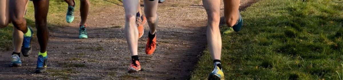 The North Staffordshire Cross Country League